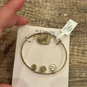 NWT Alex & Ani Expandable Bangle Charm Bracelet SISTER Studded Shiny Gold
